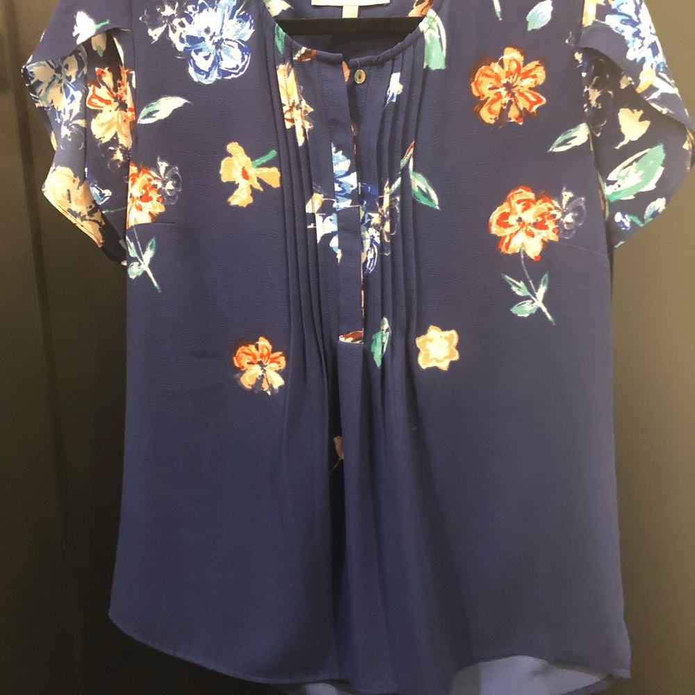 Daniel Rainn Tulip Sleeve Blouse